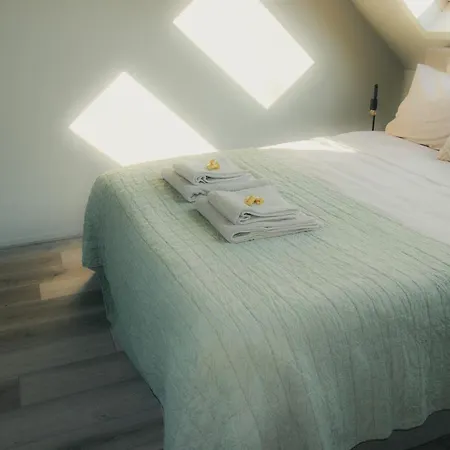 Wellness Aan De Braassem