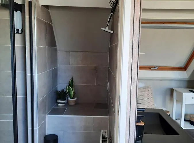 Appartement Wellness Aan De Braassem *